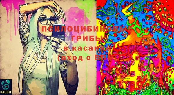 ПСИЛОЦИБИНОВЫЕ ГРИБЫ Абдулино